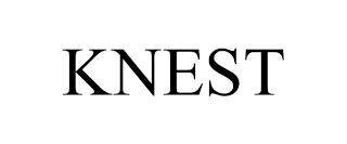 KNEST Trademark Image