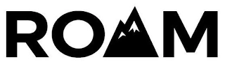 ROAM Trademark Image